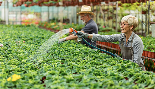 gardening