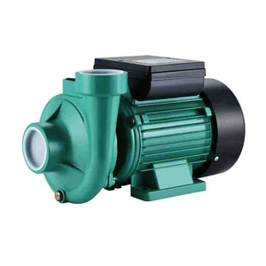 2DK Brass Impeller Centrifugal Pumps
