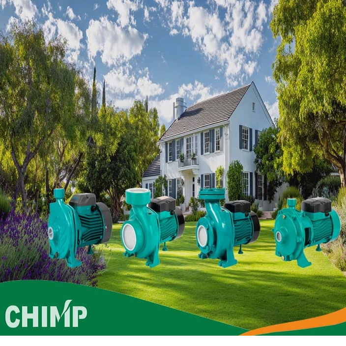 Chimp-centrifugal-pumps-for-home-use_704_704.jpg