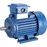 Electric Motor