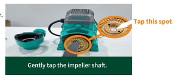Remove Pump Body and Check Brass Impeller.png